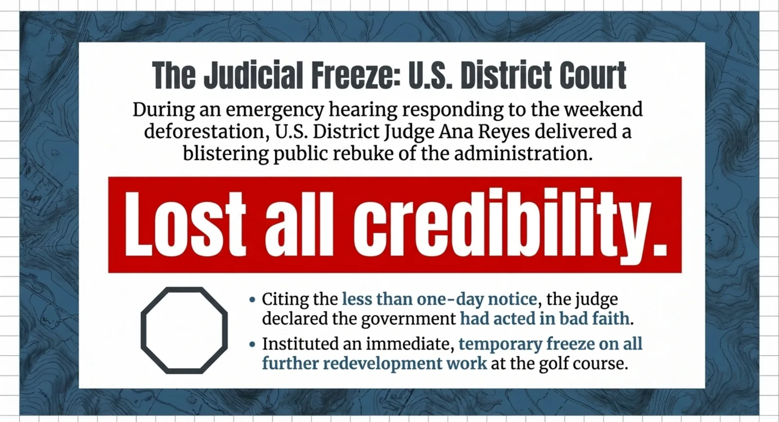 Slide 7 of 9: The judicial freeze